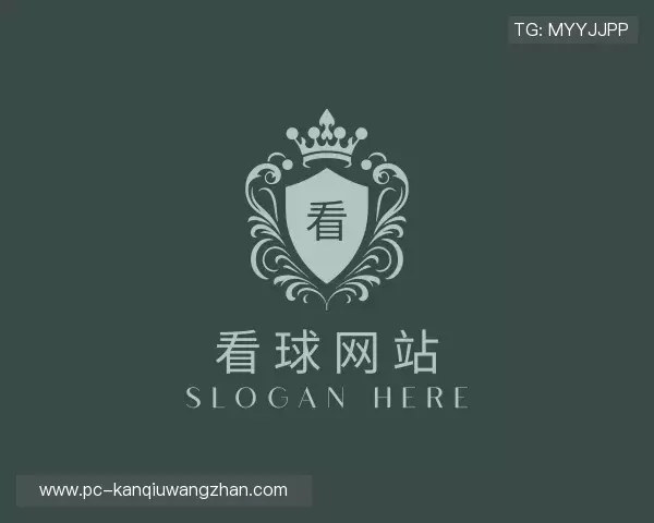 关于看球网站